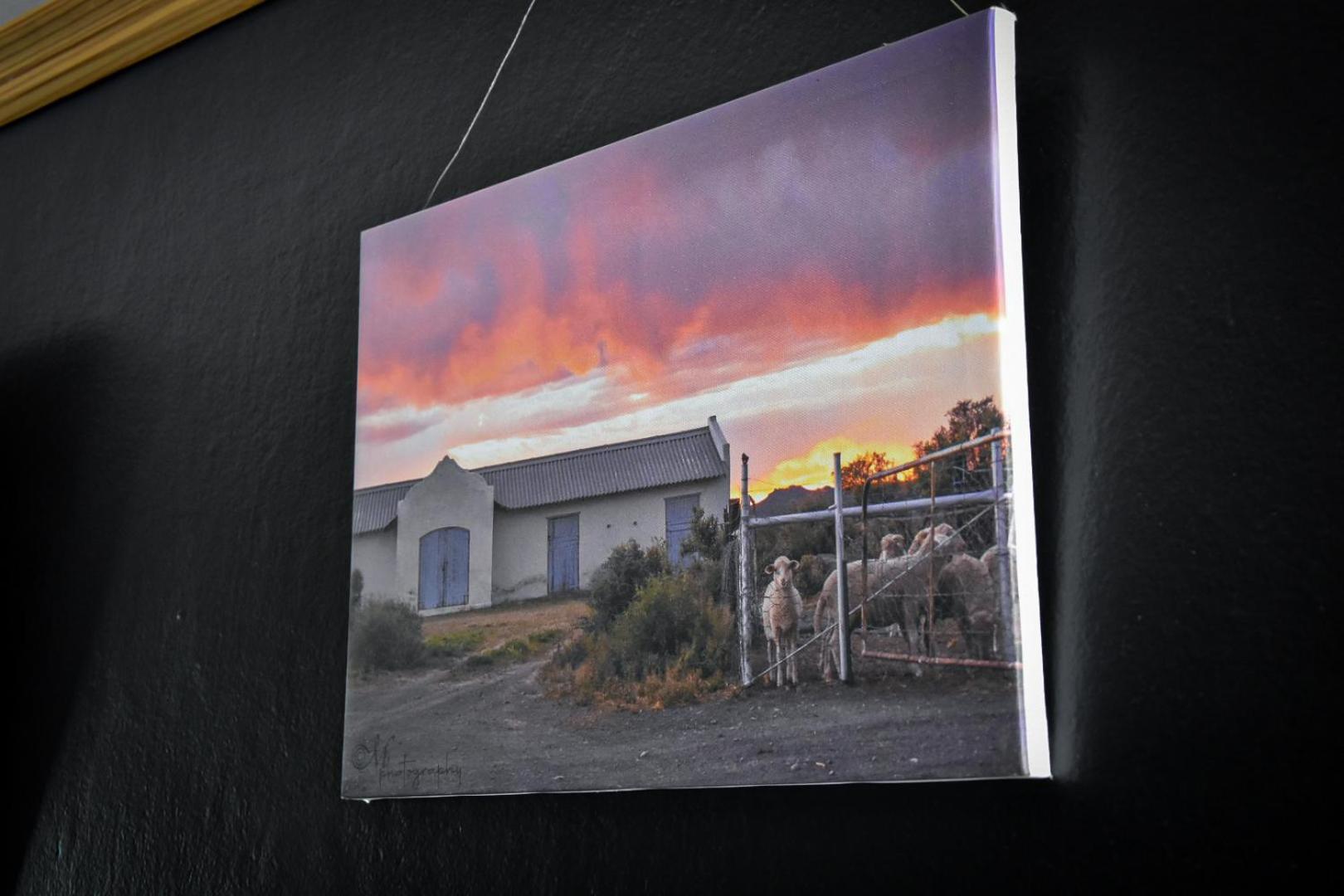 Beautiful Betty Guesthouse Beaufort West Dış mekan fotoğraf